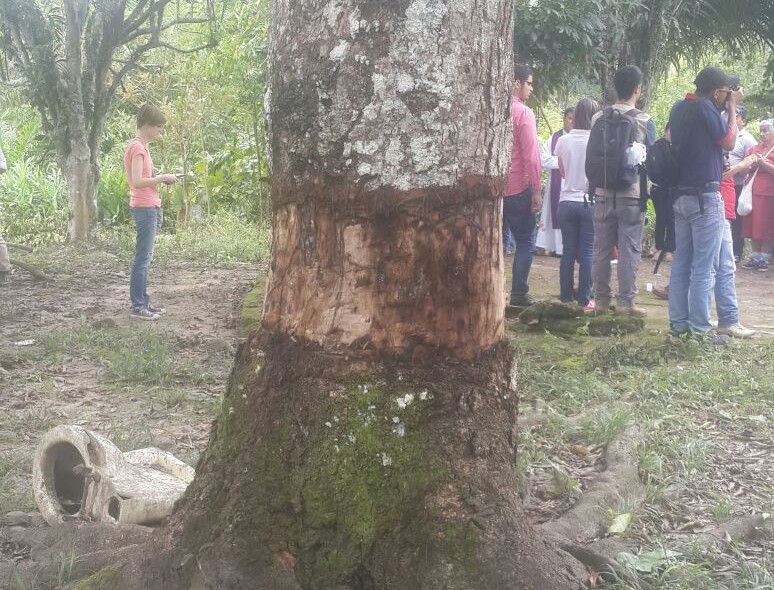 Aparador cine Debe 36 víctimas, 36 árboles, 36 razones para un Nunca Más. Dignidad y memoria  en Puerto Torres, Caquetá – A la orilla del rio