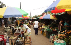 Florencia: Ciudad Basura
