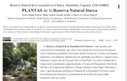 Plantas de la Reserva de la Sociedad Civil Itarca