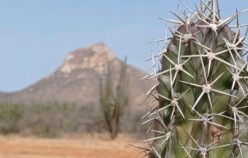 ¿Incidirá el aumento del precio del combustible en las dinámicas del corredor fronterizo Cesar-La Guajira-Venezuela?