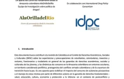 Garantía de los derechos en los jóvenes y el uso de sustancias en contextos de conflicto armado en la Amazonia colombiana – Contribución sobre Colombia al Comité DESC