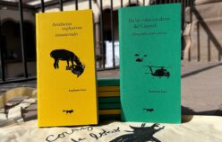Artefactos Explosivos Inmateriales: 30 años de dignidad cocalera en Caquetá