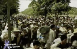 30 años de las Marchas Campesinas, Indígenas y Cocaleras del Caquetá: una reflexión de un protagonista